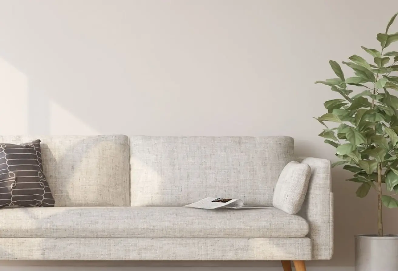 Minimalist living room: beige sofa with a brown patterned pillow, a magazine on the seat, and a tall potted plant to the right in natural light.